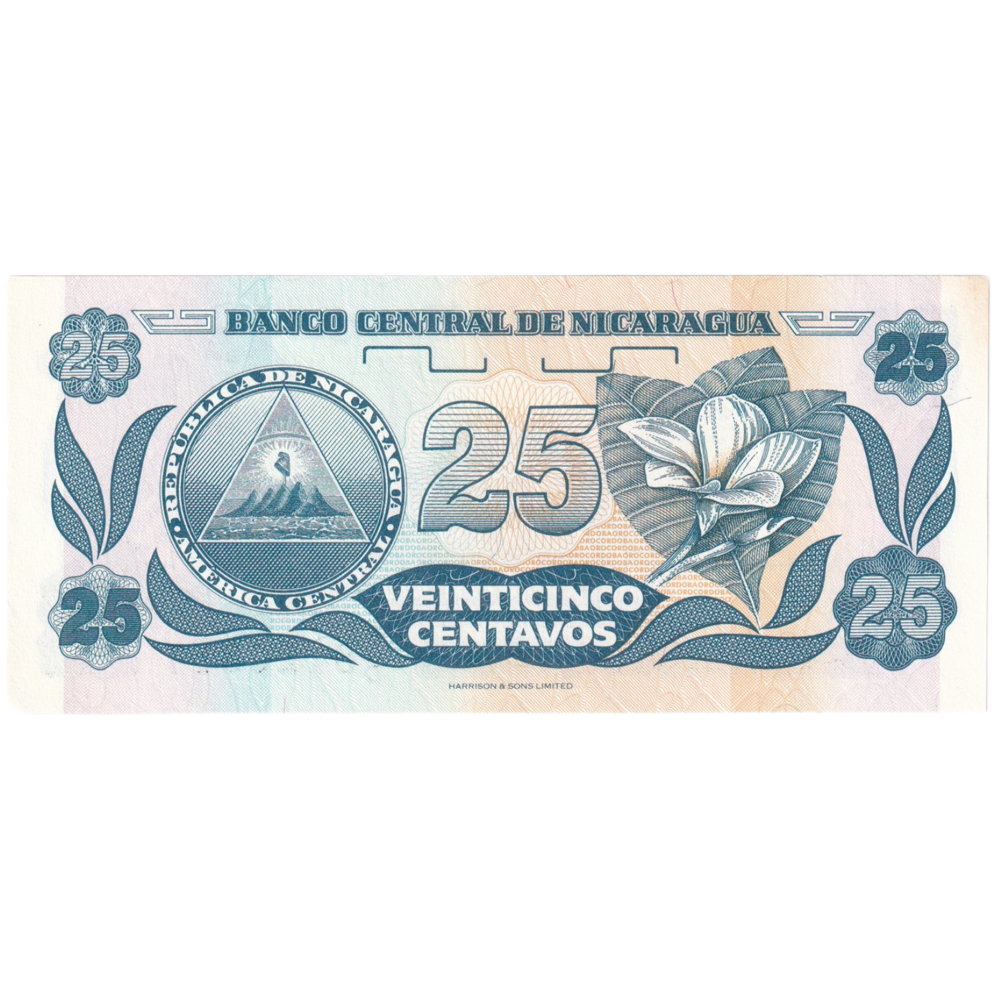 Nicaragua 1991 25 Centavos UNC A/D 8120817 Banknote