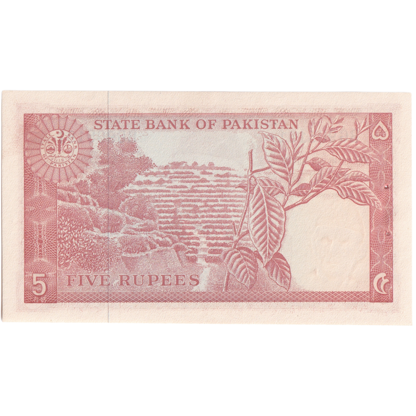 Pakistan 1972-1976 5 Rupees UNC BG 905182 Banknote