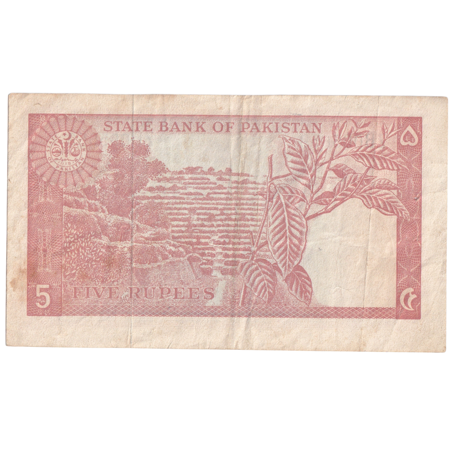 Pakistan 1972-1976 5 Rupees EF ZB005659 Banknote