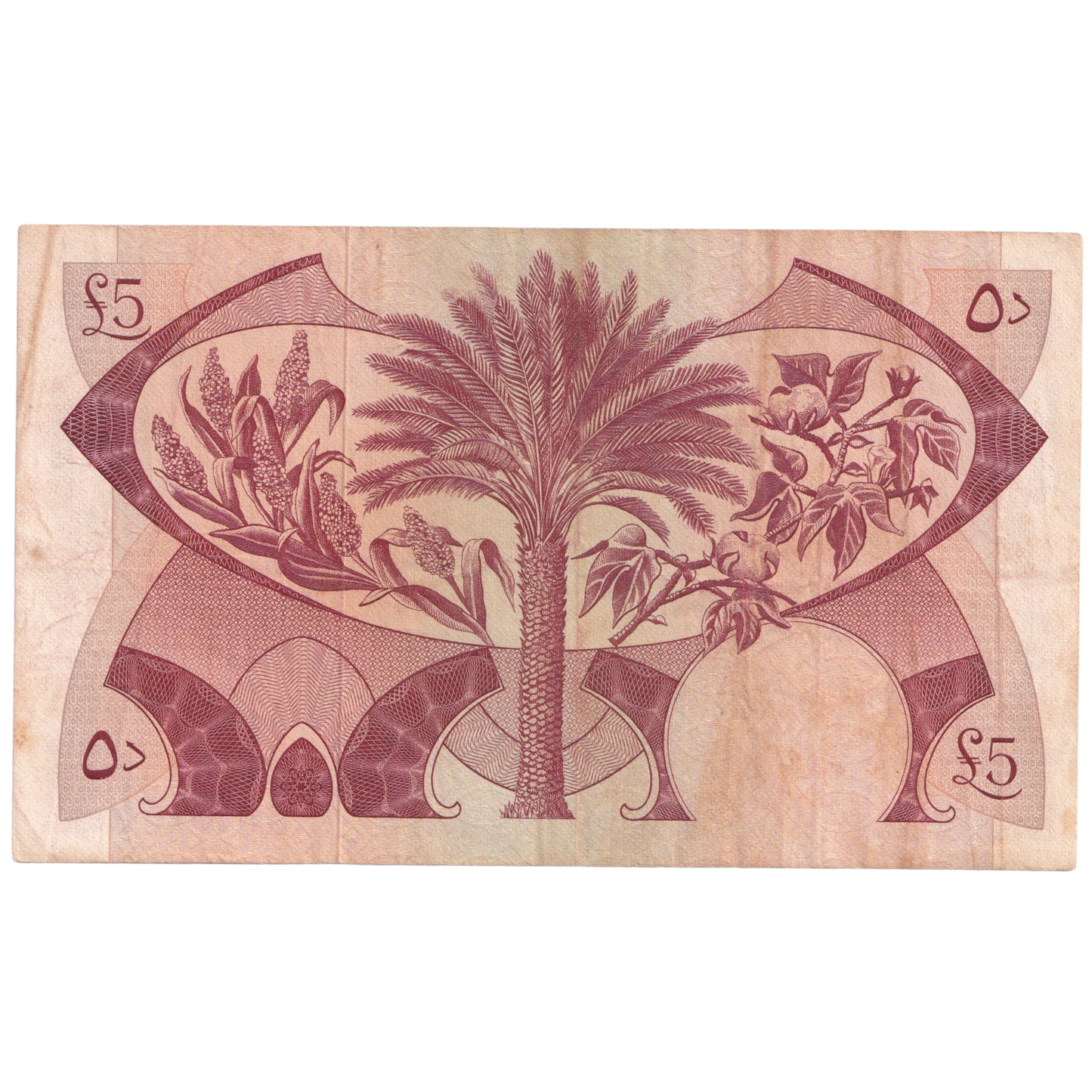 SOUTH ARABIA ADEN 1965-1967 5 DINARS AUNC E865861 Banknote