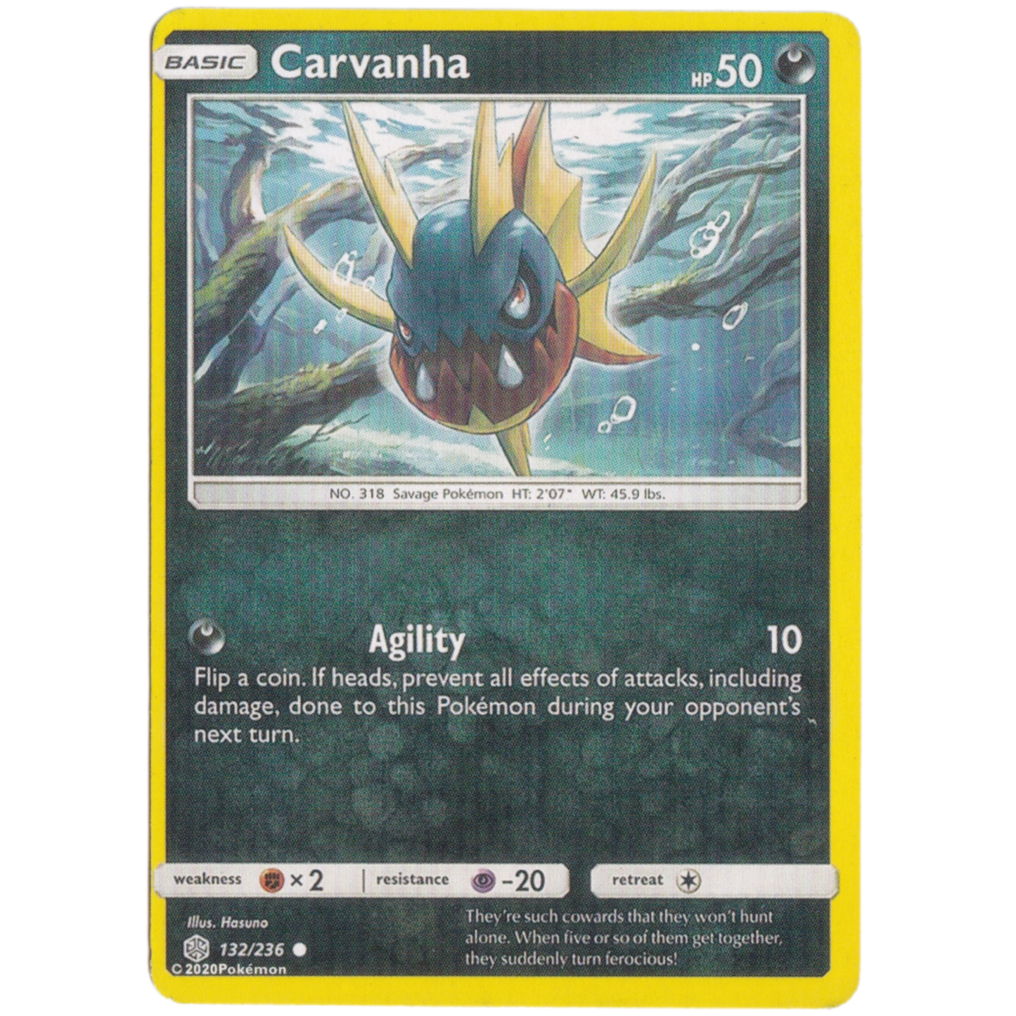 Pokemon basic carvanha hp 50 card