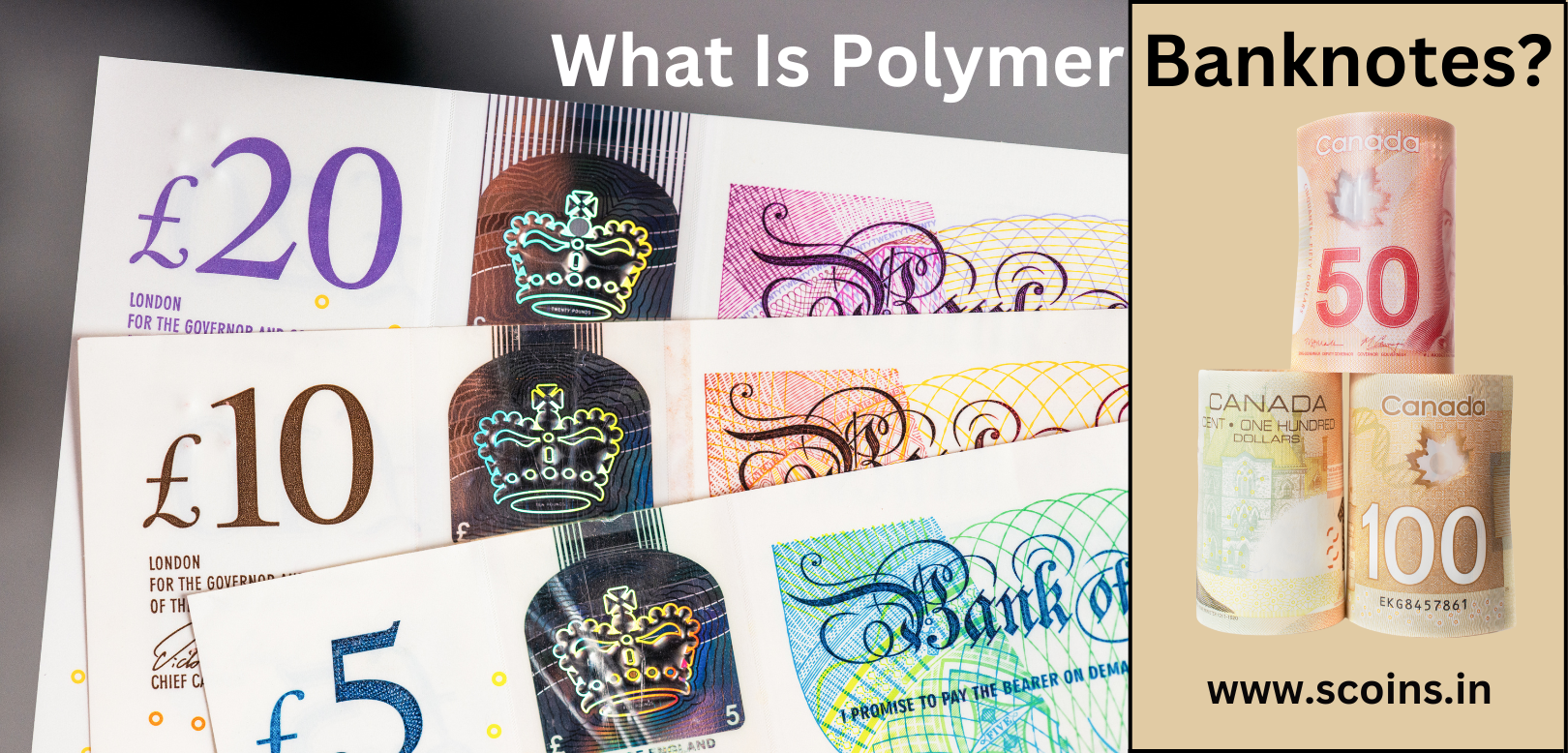 What Is Polymer Banknotes? – SCOINS INDIA